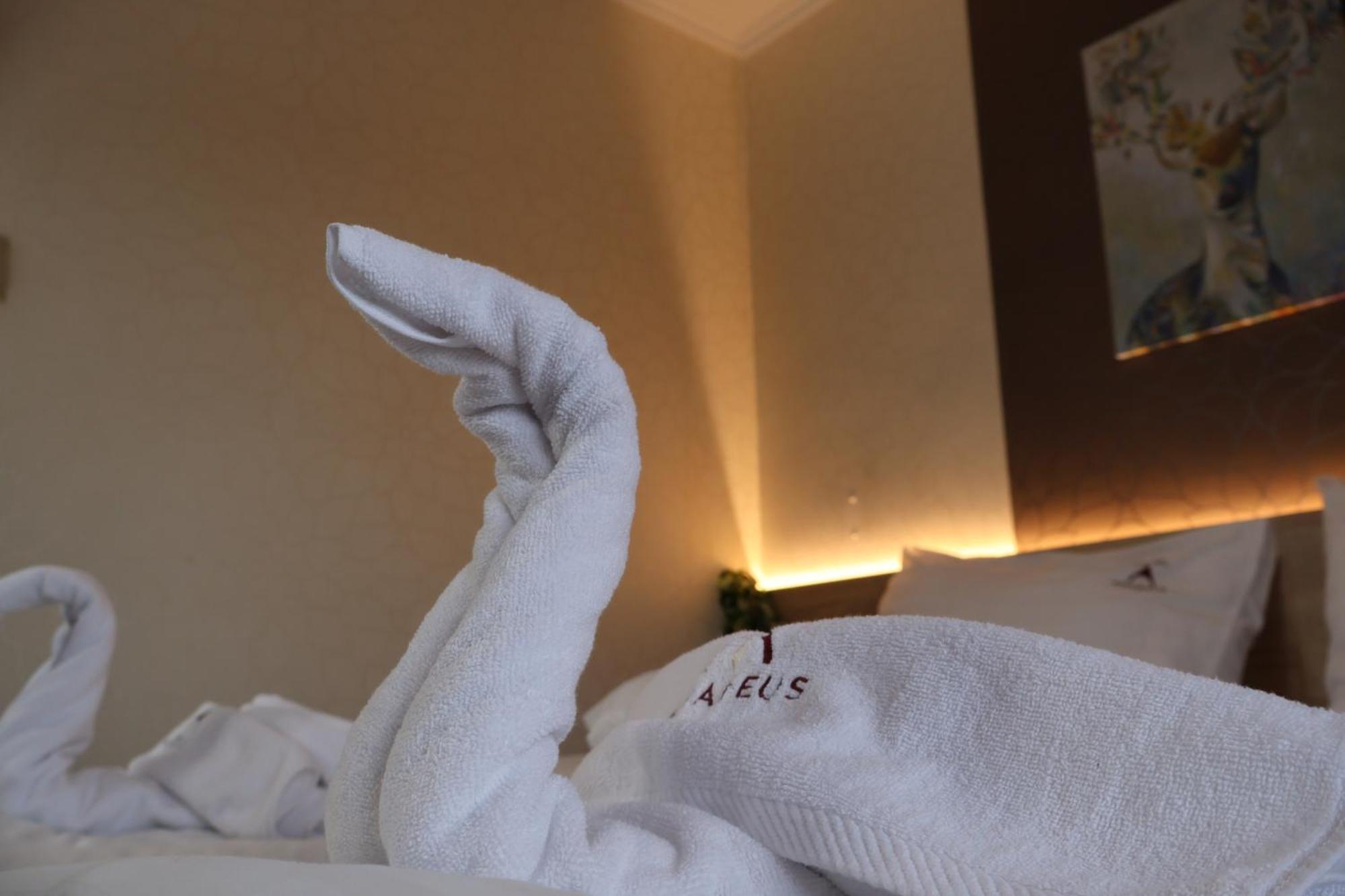 Hotel Amadeus — Photos 3